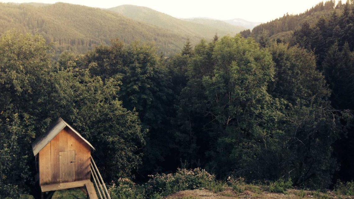 Cloud Native Buildpacks ile Tekrarlanabilir ve Güvenli Container İmajları: İleri Düzey Bir Kılavuz - BirCloud Blog