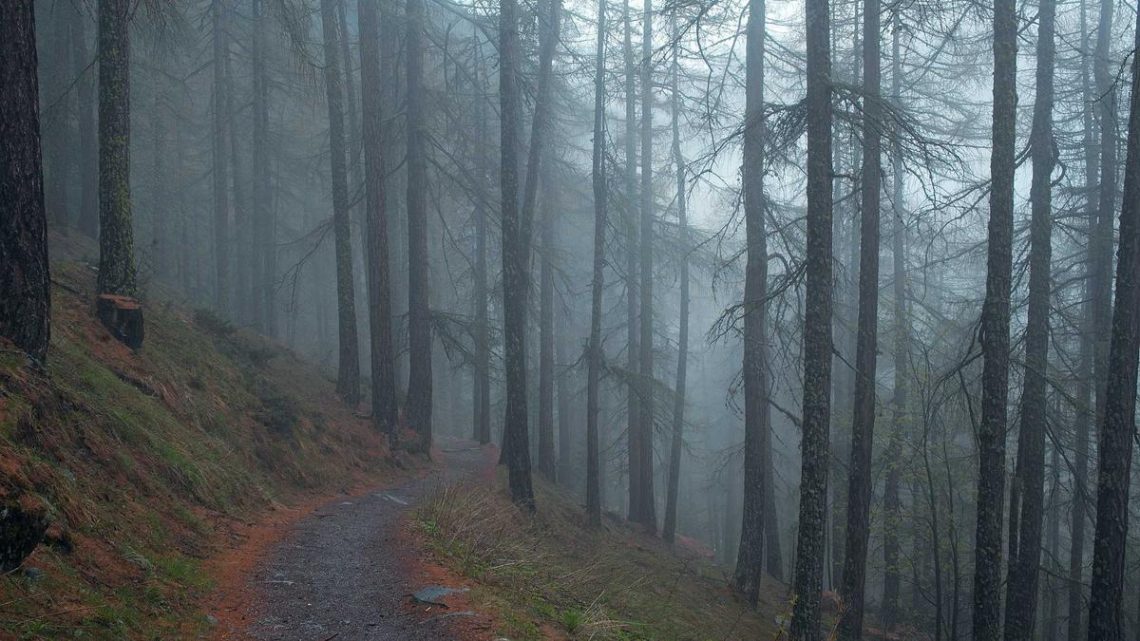 Argo CD ile Gelişmiş GitOps Stratejileri: Sürekli Dağıtım ve Uygulama Yönetiminde Ustalık - BirCloud Blog