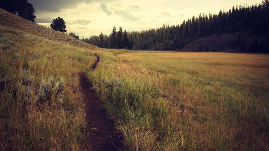 Argo CD ile GitOps Tabanlı Sürekli Teslimat: Bulut Yerel Uygulama Yönetiminde Yeni Bir Dönem - BirCloud Blog