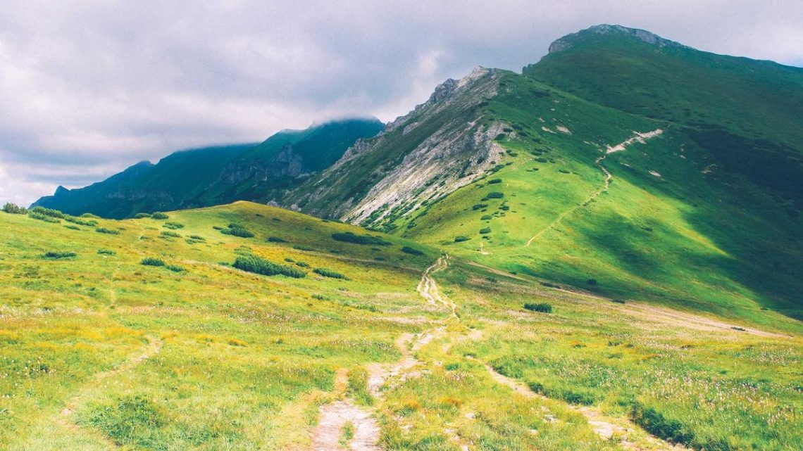 Kubernetes Gateway API: Servis Mesh ve API Gateway Entegrasyonunda Yeni Standart - BirCloud Blog