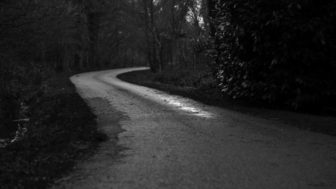 Argo CD ile GitOps Tabanlı Sürekli Dağıtım Stratejileri: Gelişmiş Senaryolar ve Entegrasyonlar - BirCloud Blog