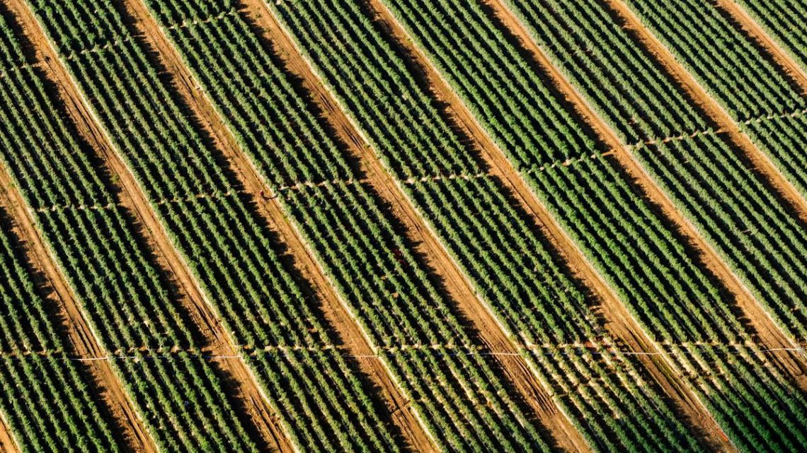 Terraform ile Bulut Altyapısında Drift Tespiti ve Otomatik Düzeltme: BirCloud Uzmanlığı - BirCloud Blog