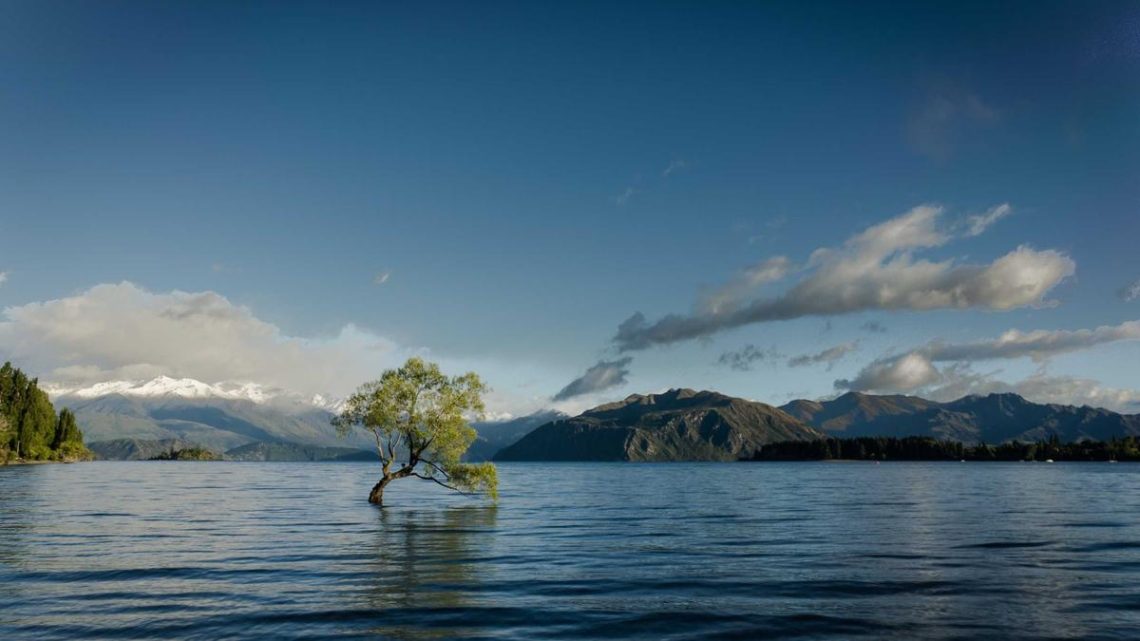 Cloud Native Uygulamalar için eBPF ile Gelişmiş Gözlemlenebilirlik: Performans ve Güvenlik Analizi - BirCloud Blog