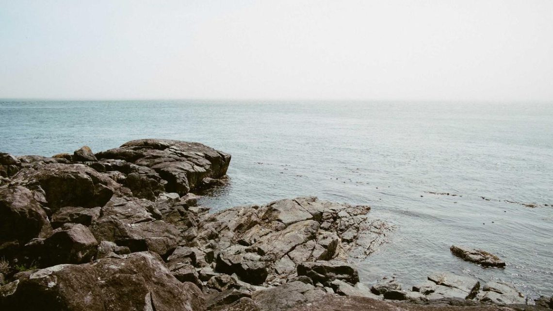 Argo CD ile GitOps Tabanlı Sürekli Dağıtım ve Uygulama Senkronizasyonu: Derinlemesine İnceleme - BirCloud Blog