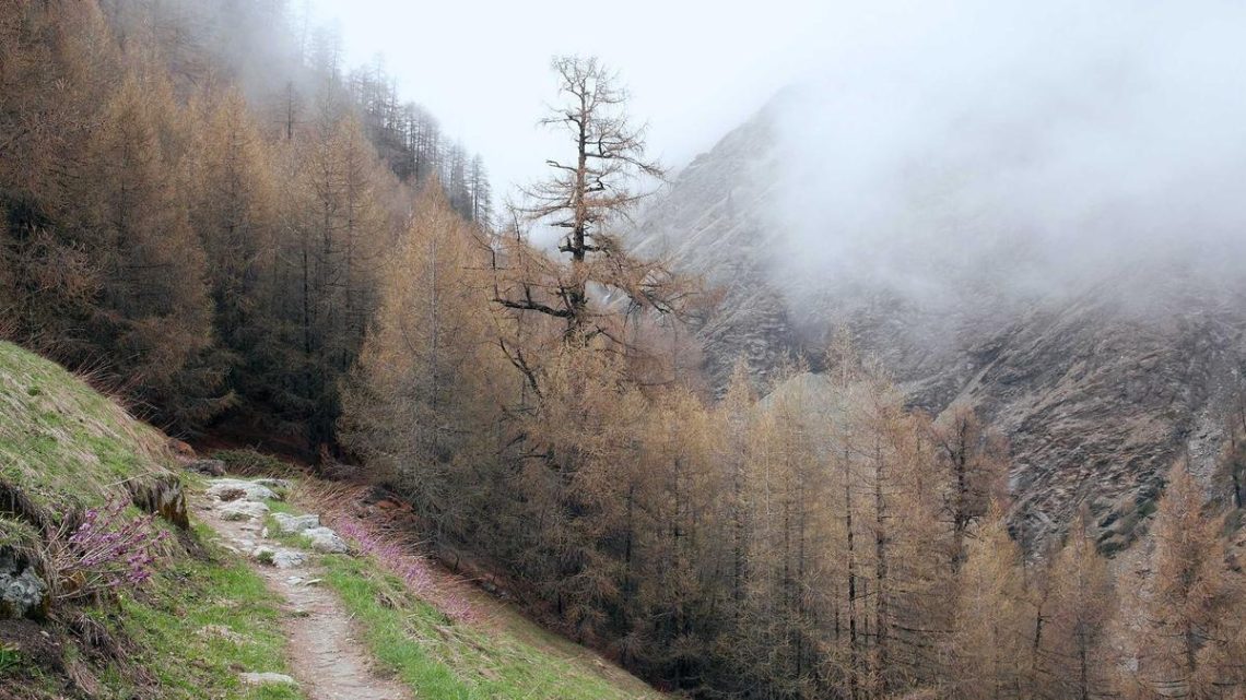 Terraform ile Güvenlik Duvarı Yönetimini Otomatikleştirmek: Güvenlik Politikalarını Kod Olarak Uygulama - BirCloud Blog