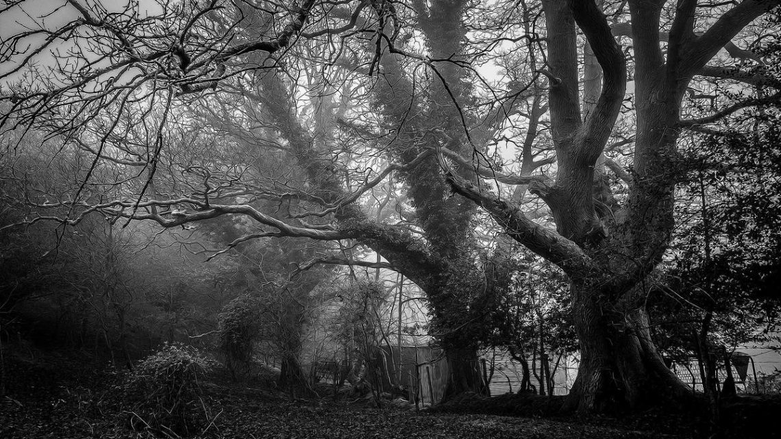 Argo CD ile Gelişmiş GitOps Stratejileri: Uygulama Dağıtımında Verimlilik ve Güvenlik - BirCloud Blog