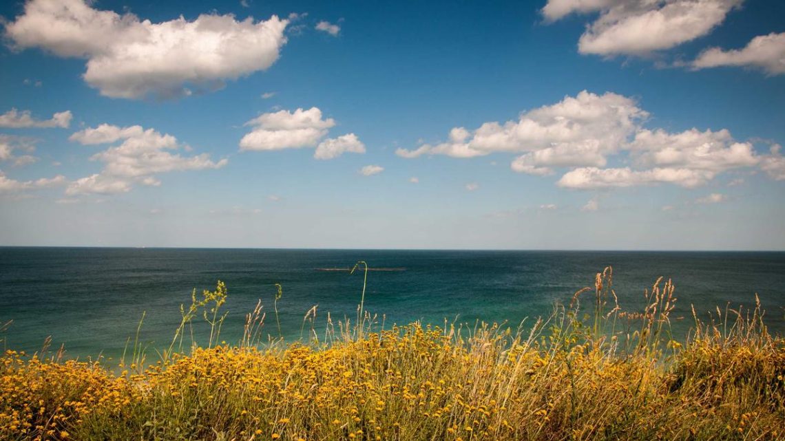 Cloud Native Uygulamalar İçin eBPF Tabanlı Gözlemlenebilirlik: Derinlemesine Analiz ve Uygulama Rehberi - BirCloud Blog