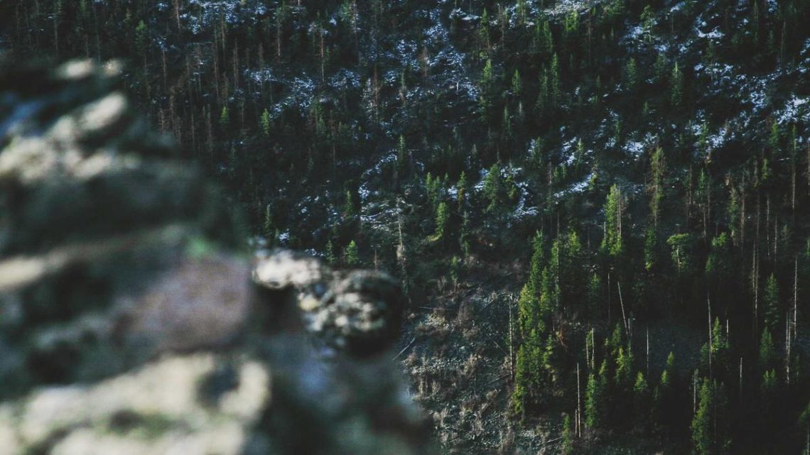 Kubernetes'te eBPF ile Ağ ve Güvenlik Politikalarını Optimize Etme: BirCloud'un Uzmanlığı - BirCloud Blog