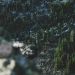Kubernetes'te eBPF ile Ağ ve Güvenlik Politikalarını Optimize Etme: BirCloud'un Uzmanlığı - BirCloud Blog