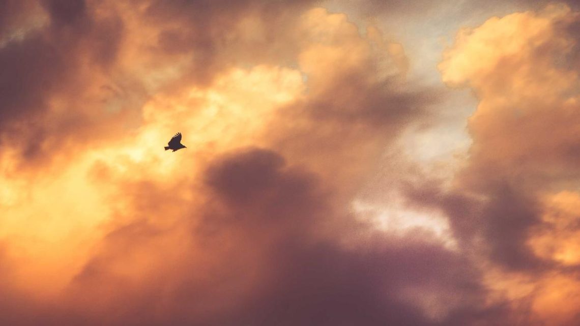 Argo CD ile GitOps Tabanlı Sürekli Dağıtım Stratejileri: Pratik Yaklaşımlar ve İpuçları - BirCloud Blog
